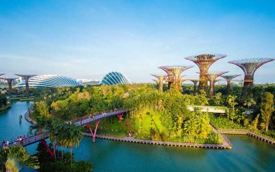 Vietnam (4 Nights / 5 Days)