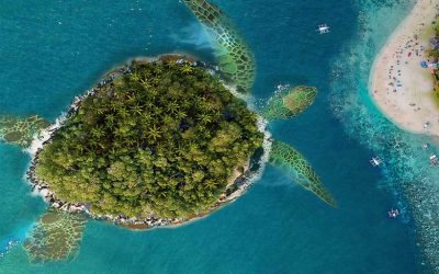 Bali (4 Nights / 5 Days) Packages