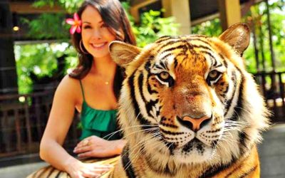 Thailand – Bangkok & Pattaya (3 Nights / 4 Days)