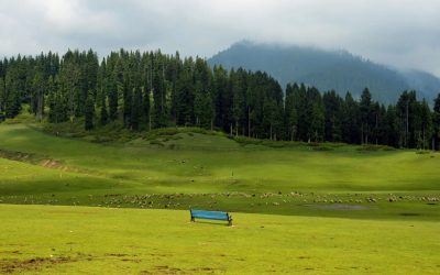 Kashmir (4 Nights / 5 Days)